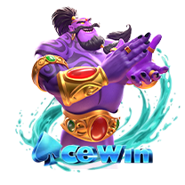 NEW*ACEWIN